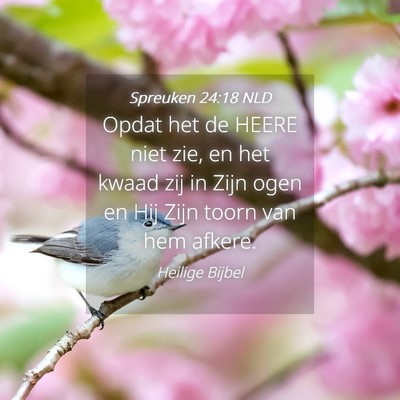 Picture 04 - Spreuken 24:18 NLD - Opdat het de HEERE niet zie, en het kwaad zij in - Bible Verse Picture