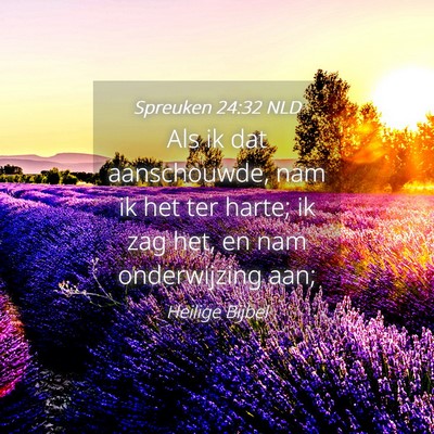 Picture 04 - Spreuken 24:32 NLD - Als ik dat aanschouwde, nam ik het ter harte; ik - Bible Verse Picture