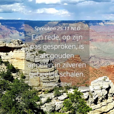 Picture 04 - Spreuken 25:11 NLD - Een rede, op zijn pas gesproken, is als gouden - Bible Verse Picture