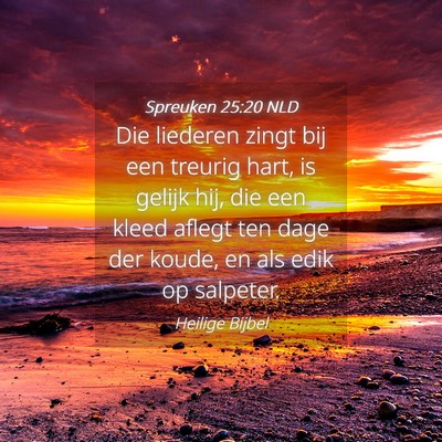Picture 04 - Spreuken 25:20 NLD - Die liederen zingt bij een treurig hart, is - Bible Verse Picture