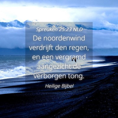 Picture 04 - Spreuken 25:23 NLD - De noordenwind verdrijft den regen, en een - Bible Verse Picture