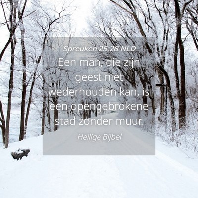 Picture 04 - Spreuken 25:28 NLD - Een man, die zijn geest niet wederhouden kan, is - Bible Verse Picture