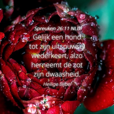 Picture 04 - Spreuken 26:11 NLD - Gelijk een hond tot zijn uitspuwsel wederkeert, - Bible Verse Picture