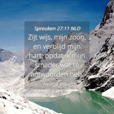 Picture 04 - Spreuken 27:11 NLD - Zijt wijs, mijn zoon, en verblijd mijn hart; - Bible Verse Picture