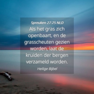 Picture 04 - Spreuken 27:25 NLD - Als het gras zich openbaart, en de grasscheuten - Bible Verse Picture