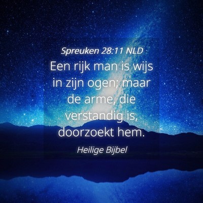 Picture 04 - Spreuken 28:11 NLD - Een rijk man is wijs in zijn ogen; maar de arme, - Bible Verse Picture