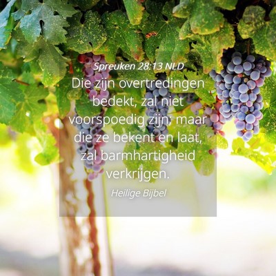 Picture 04 - Spreuken 28:13 NLD - Die zijn overtredingen bedekt, zal niet - Bible Verse Picture