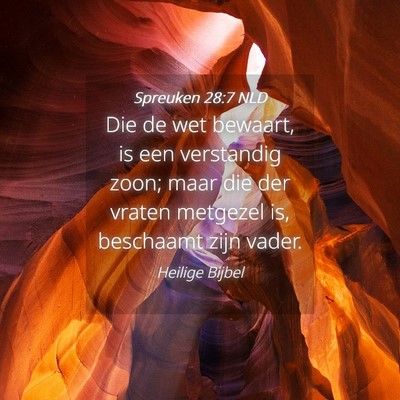 Picture 04 - Spreuken 28:7 NLD - Die de wet bewaart, is een verstandig zoon; maar - Bible Verse Picture