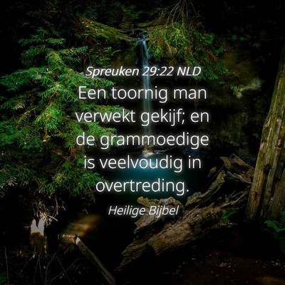 Picture 04 - Spreuken 29:22 NLD - Een toornig man verwekt gekijf; en de grammoedige - Bible Verse Picture