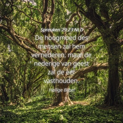 Picture 04 - Spreuken 29:23 NLD - De hoogmoed des mensen zal hem vernederen; maar - Bible Verse Picture