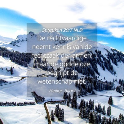 Picture 04 - Spreuken 29:7 NLD - De rechtvaardige neemt kennis van de rechtzaak - Bible Verse Picture