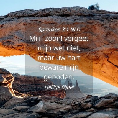Picture 04 - Spreuken 3:1 NLD - Mijn zoon! vergeet mijn wet niet, maar uw hart - Bible Verse Picture