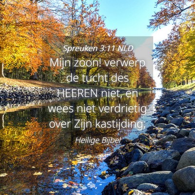 Picture 04 - Spreuken 3:11 NLD - Mijn zoon! verwerp de tucht des HEEREN niet, en - Bible Verse Picture