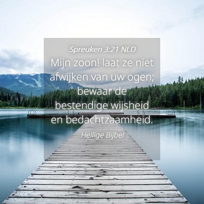 Picture 04 - Spreuken 3:21 NLD - Mijn zoon! laat ze niet afwijken van uw ogen; - Bible Verse Picture