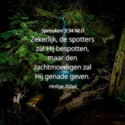 Picture 04 - Spreuken 3:34 NLD - Zekerlijk, de spotters zal Hij bespotten, maar - Bible Verse Picture