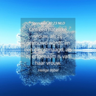 Picture 04 - Spreuken 30:23 NLD - Om een hatelijke vrouw, als zij getrouwd wordt; - Bible Verse Picture