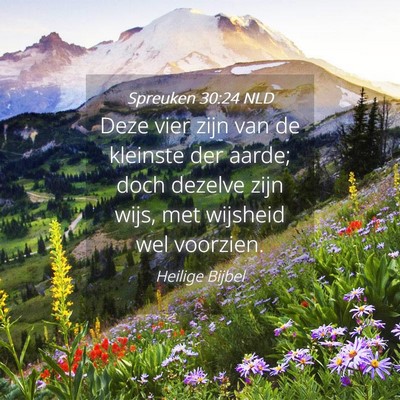 Picture 04 - Spreuken 30:24 NLD - Deze vier zijn van de kleinste der aarde; doch - Bible Verse Picture
