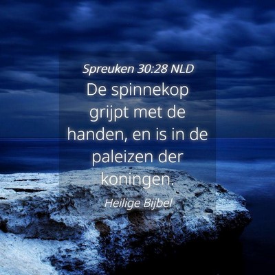 Picture 04 - Spreuken 30:28 NLD - De spinnekop grijpt met de handen, en is in de - Bible Verse Picture