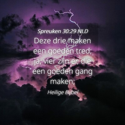 Picture 04 - Spreuken 30:29 NLD - Deze drie maken een goeden tred; ja, vier zijn - Bible Verse Picture
