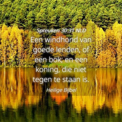 Picture 04 - Spreuken 30:31 NLD - Een windhond van goede lenden, of een bok; en een - Bible Verse Picture