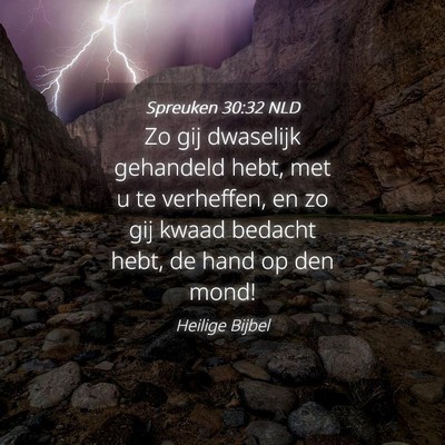 Picture 04 - Spreuken 30:32 NLD - Zo gij dwaselijk gehandeld hebt, met u te - Bible Verse Picture