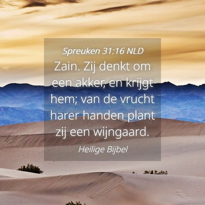 Picture 04 - Spreuken 31:16 NLD - Zain. Zij denkt om een akker, en krijgt hem; van - Bible Verse Picture