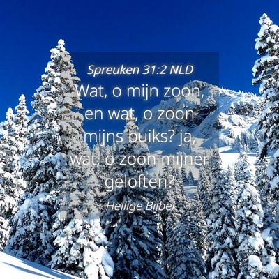 Picture 04 - Spreuken 31:2 NLD - Wat, o mijn zoon, en wat, o zoon mijns buiks? ja, - Bible Verse Picture