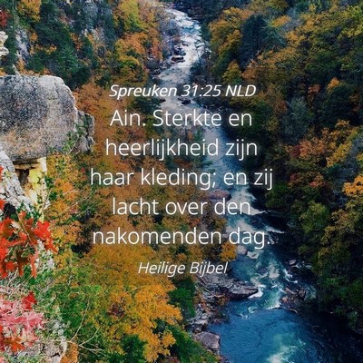 Picture 04 - Spreuken 31:25 NLD - Ain. Sterkte en heerlijkheid zijn haar kleding; - Bible Verse Picture