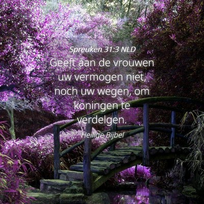 Picture 04 - Spreuken 31:3 NLD - Geeft aan de vrouwen uw vermogen niet, noch uw - Bible Verse Picture