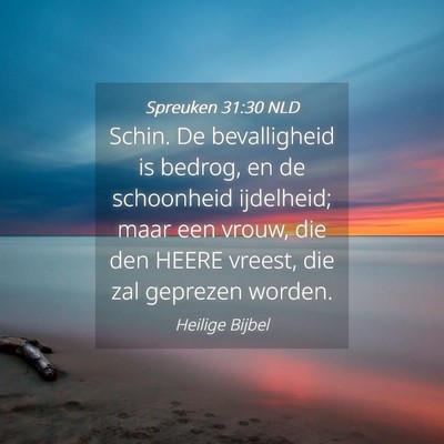 Picture 04 - Spreuken 31:30 NLD - Schin. De bevalligheid is bedrog, en de - Bible Verse Picture