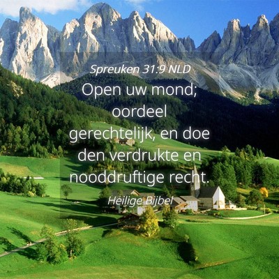 Picture 04 - Spreuken 31:9 NLD - Open uw mond; oordeel gerechtelijk, en doe den - Bible Verse Picture