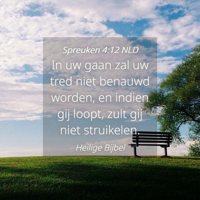 Picture 04 - Spreuken 4:12 NLD - In uw gaan zal uw tred niet benauwd worden, en - Bible Verse Picture