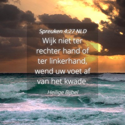 Picture 04 - Spreuken 4:27 NLD - Wijk niet ter rechter hand of ter linkerhand, - Bible Verse Picture