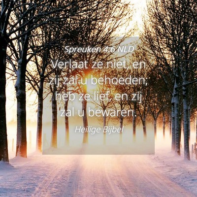 Picture 04 - Spreuken 4:6 NLD - Verlaat ze niet, en zij zal u behoeden; heb ze - Bible Verse Picture