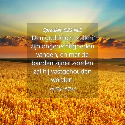 Picture 04 - Spreuken 5:22 NLD - Den goddeloze zullen zijn ongerechtigheden - Bible Verse Picture