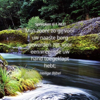 Picture 04 - Spreuken 6:1 NLD - Mijn zoon! zo gij voor uw naaste borg geworden - Bible Verse Picture