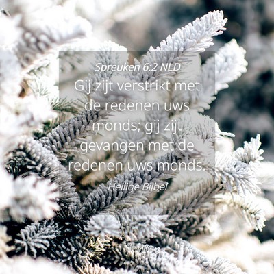 Picture 04 - Spreuken 6:2 NLD - Gij zijt verstrikt met de redenen uws monds; gij - Bible Verse Picture