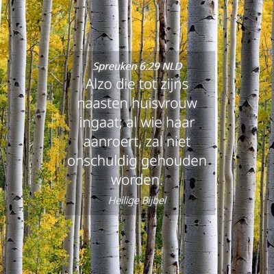 Picture 04 - Spreuken 6:29 NLD - Alzo die tot zijns naasten huisvrouw ingaat; al - Bible Verse Picture
