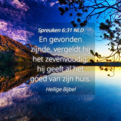 Picture 04 - Spreuken 6:31 NLD - En gevonden zijnde, vergeldt hij het zevenvoudig; - Bible Verse Picture