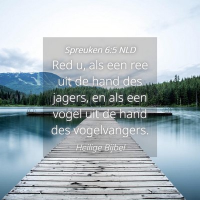 Picture 04 - Spreuken 6:5 NLD - Red u, als een ree uit de hand des jagers, en als - Bible Verse Picture