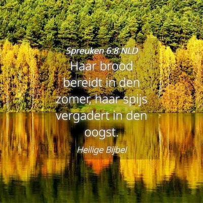 Picture 04 - Spreuken 6:8 NLD - Haar brood bereidt in den zomer, haar spijs - Bible Verse Picture