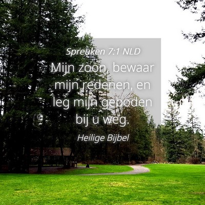 Picture 04 - Spreuken 7:1 NLD - Mijn zoon, bewaar mijn redenen, en leg mijn - Bible Verse Picture