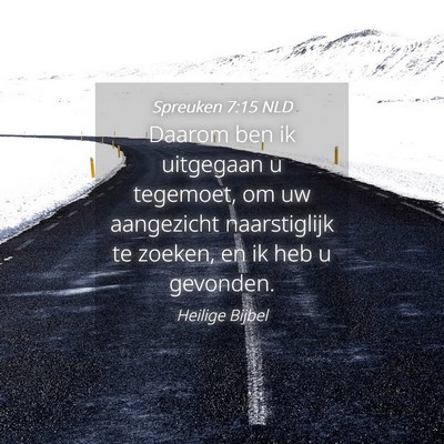 Picture 04 - Spreuken 7:15 NLD - Daarom ben ik uitgegaan u tegemoet, om uw - Bible Verse Picture