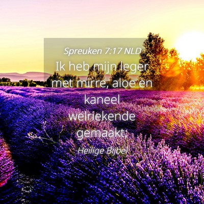 Picture 04 - Spreuken 7:17 NLD - Ik heb mijn leger met mirre, aloe en kaneel - Bible Verse Picture