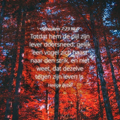 Picture 04 - Spreuken 7:23 NLD - Totdat hem de pijl zijn lever doorsneed; gelijk - Bible Verse Picture