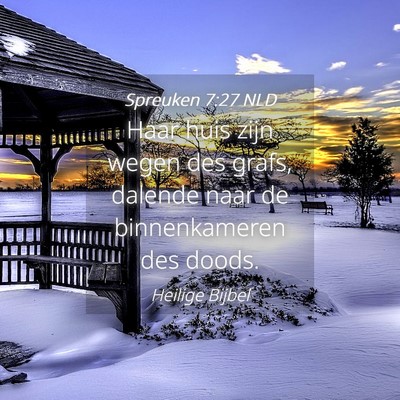 Picture 04 - Spreuken 7:27 NLD - Haar huis zijn wegen des grafs, dalende naar de - Bible Verse Picture