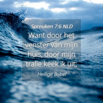 Picture 04 - Spreuken 7:6 NLD - Want door het venster van mijn huis, door mijn - Bible Verse Picture