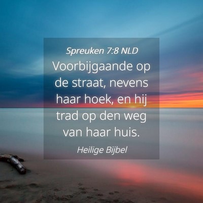Picture 04 - Spreuken 7:8 NLD - Voorbijgaande op de straat, nevens haar hoek, en - Bible Verse Picture