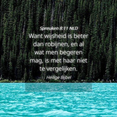 Picture 04 - Spreuken 8:11 NLD - Want wijsheid is beter dan robijnen, en al wat - Bible Verse Picture