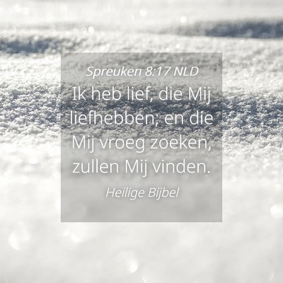 Picture 04 - Spreuken 8:17 NLD - Ik heb lief, die Mij liefhebben; en die Mij vroeg - Bible Verse Picture